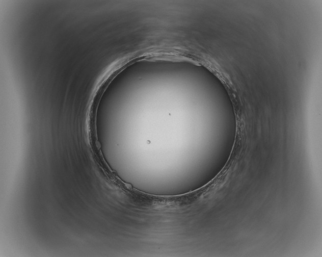 X0000112020340200908171434