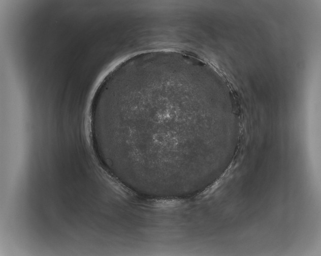 X0000112020342200908171434