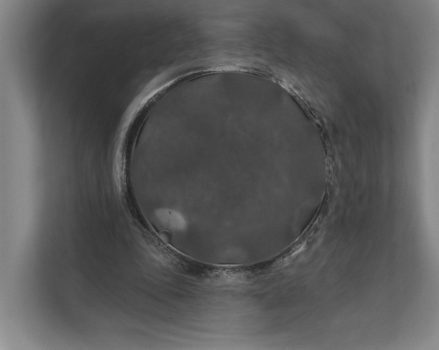 X0000112020343200908171435