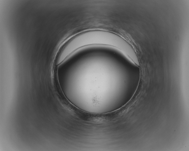 X0000112020344200908171435