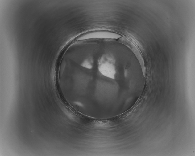 X0000112020346200908171435