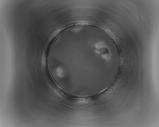 X0000112020347200908171435