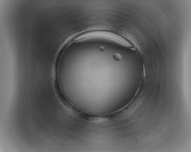 X0000112020348200908171435