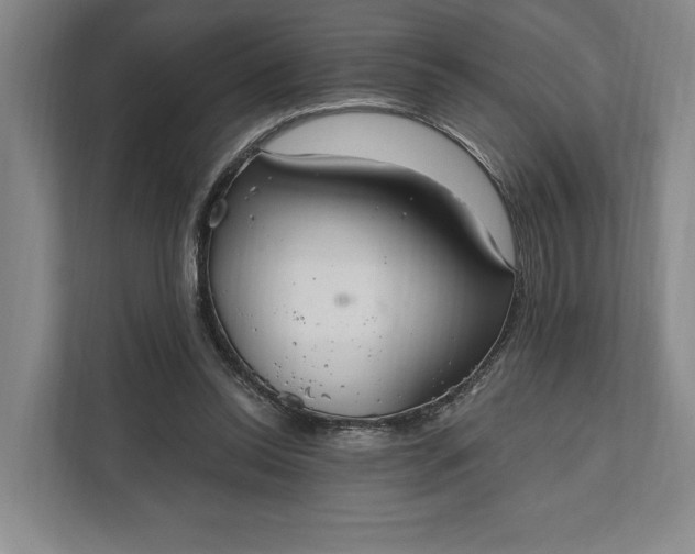 X0000112020350200908171435