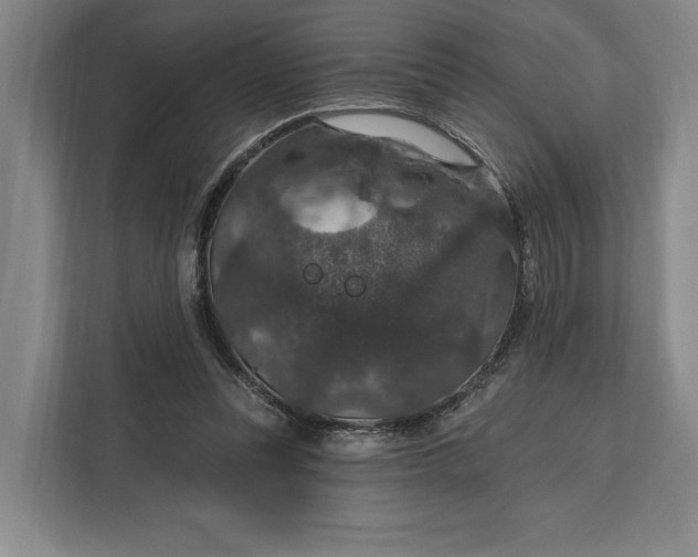 X0000112020351200908171435