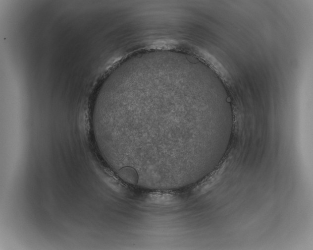 X0000112020354200908171435