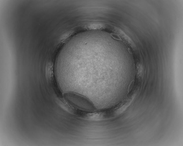 X0000112020356200908171435