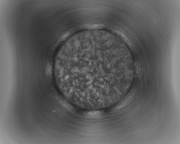 X0000112020357200908171435