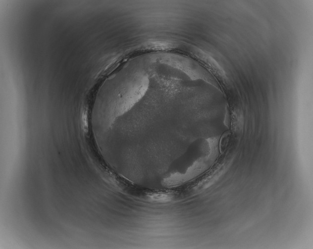 X0000112020358200908171435