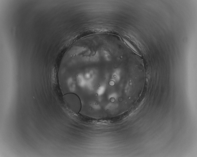 X0000112020359200908171435