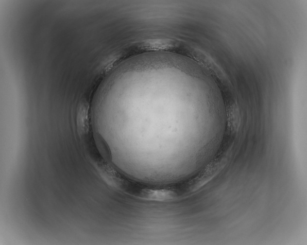 X0000112020360200908171435