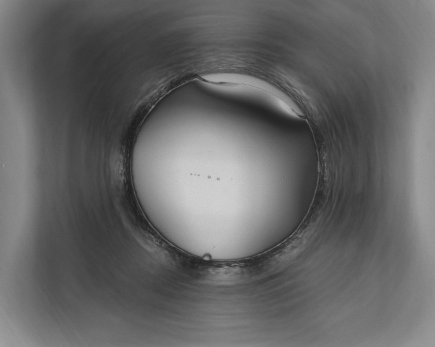 X0000112020362200908171435