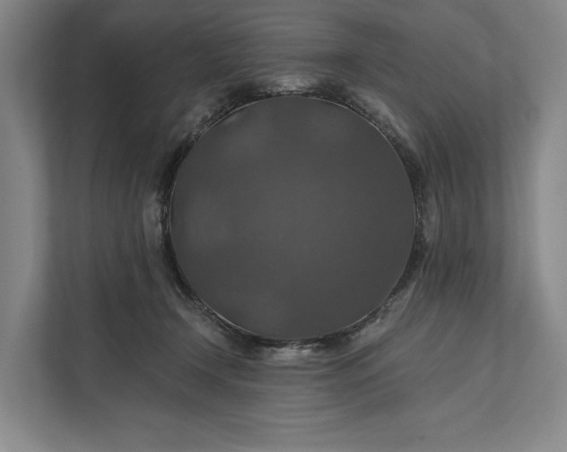 X0000112020366200908171435