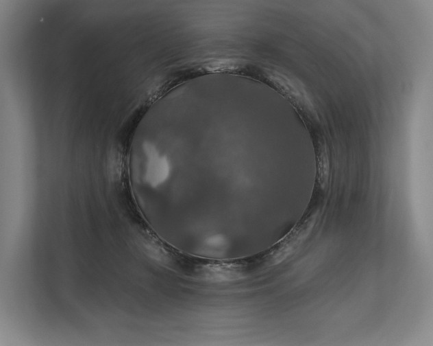 X0000112020367200908171435