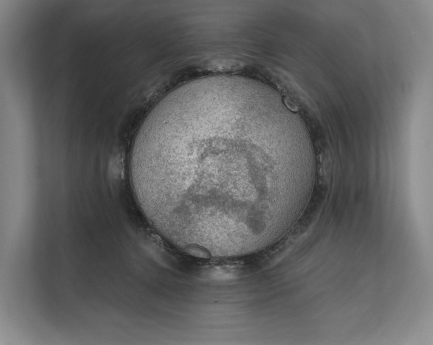 X0000112020368200908171435