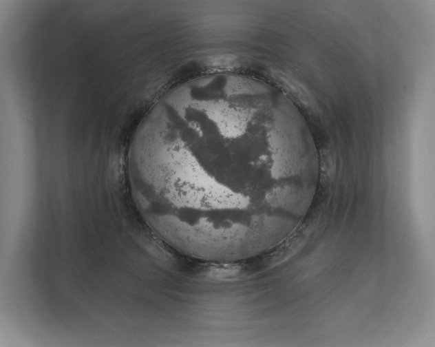 X0000112020369200908171435