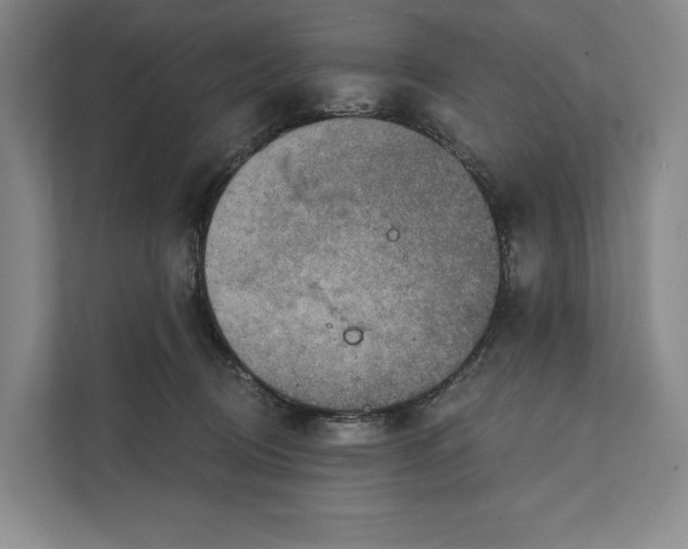 X0000112020370200908171435