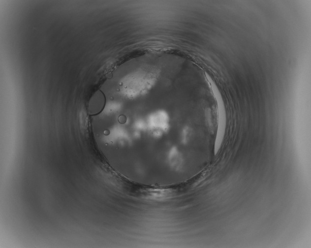 X0000112020371200908171435