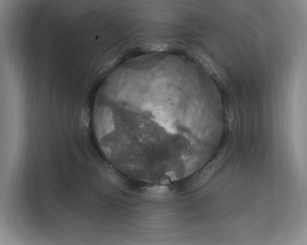 X0000112020374200908171435