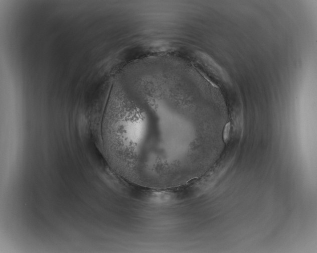 X0000112020376200908171435