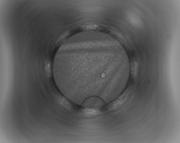 X0000112020378200908171435