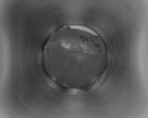 X0000112020379200908171435