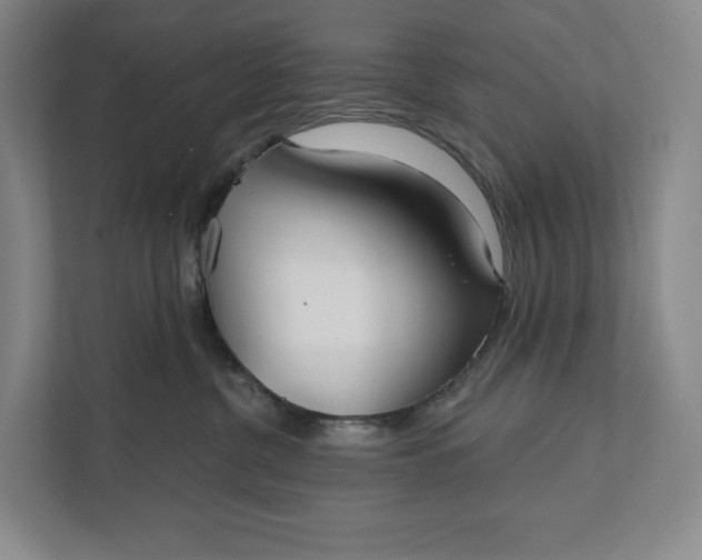 X0000112020380200908171435