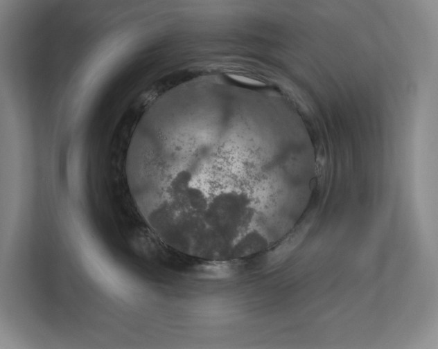 X0000112020381200908171435