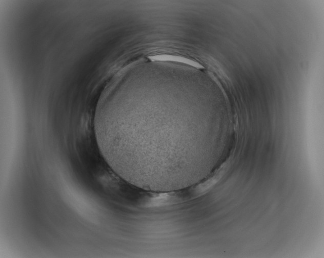 X0000112020382200908171435