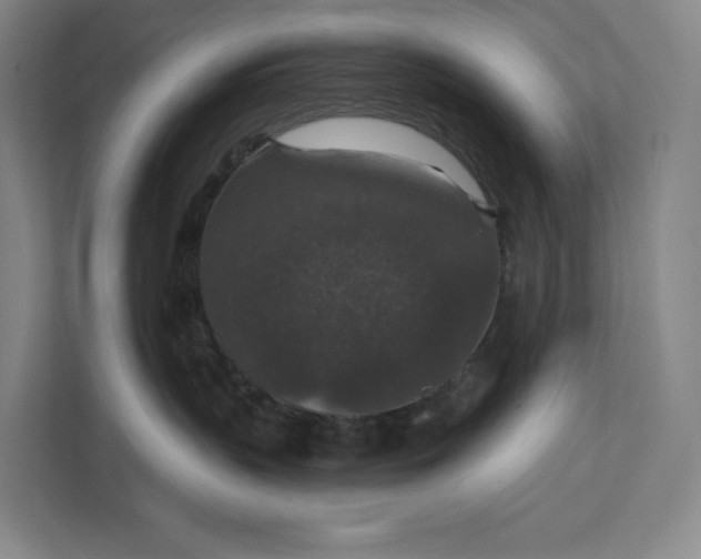 X0000112020383200908171435