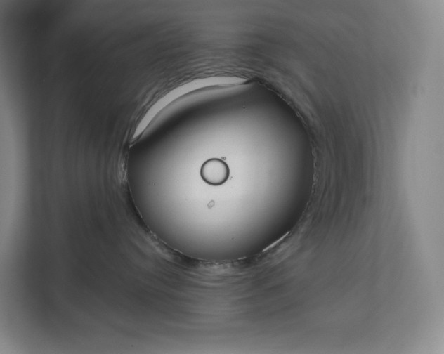 X0000112020384200908171435