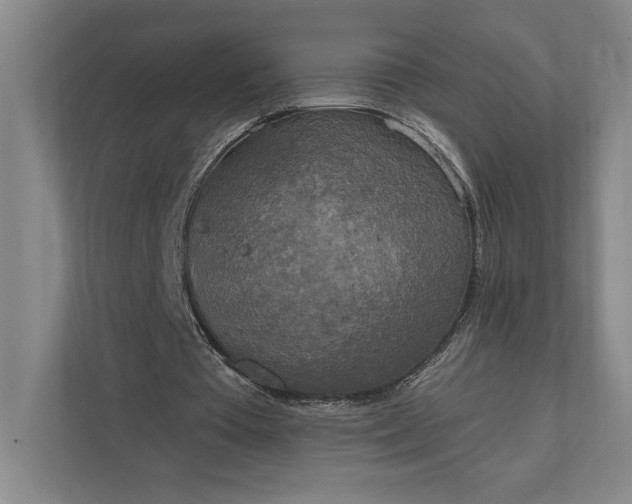 X0000112020385200908171434