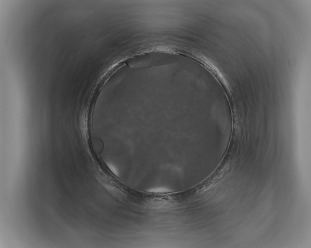 X0000112020386200908171434