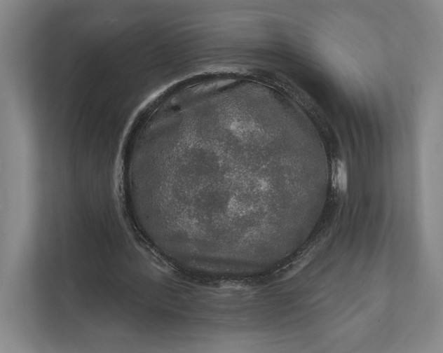 X0000112020388200908171434