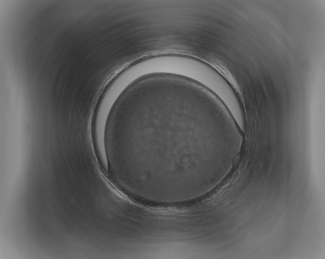 X0000112020389200908171434