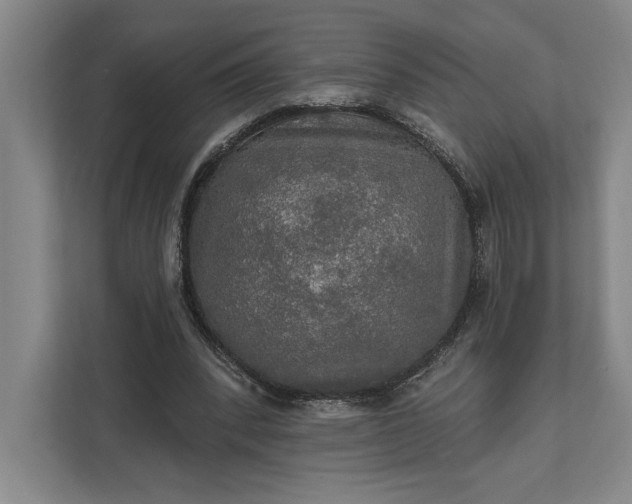 X0000112020392200908171434