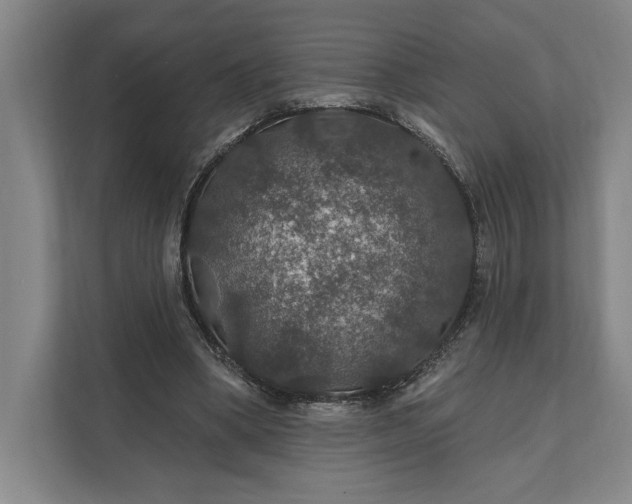 X0000112020394200908171434