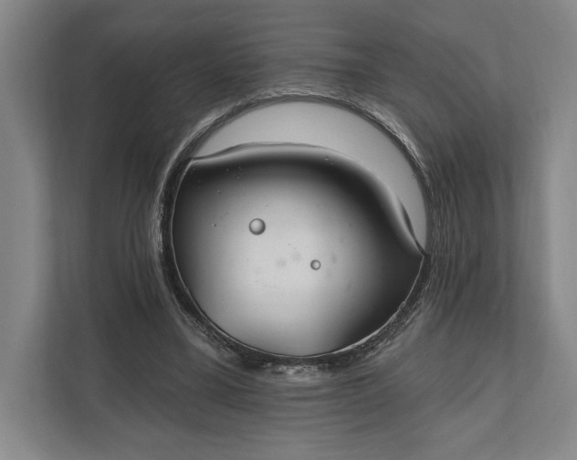 X0000112020395200908171434