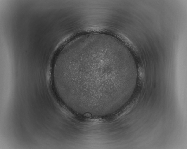 X0000112020396200908171434