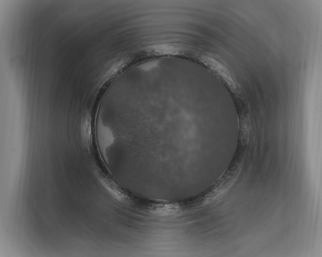 X0000112020398200908171434