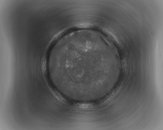 X0000112020400200908171434