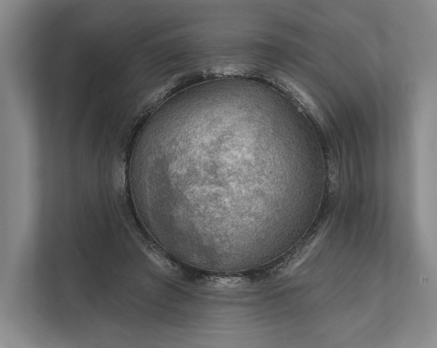 X0000112020401200908171434