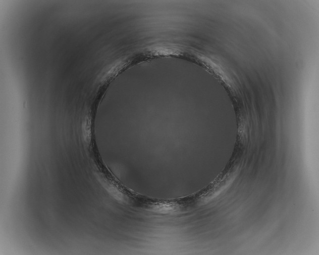 X0000112020402200908171434