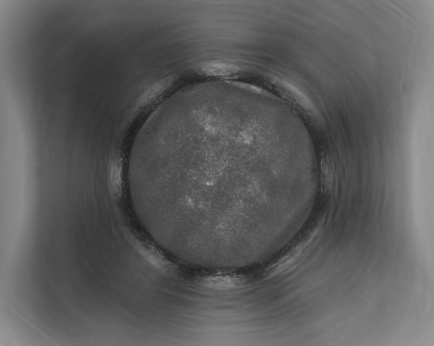 X0000112020404200908171434