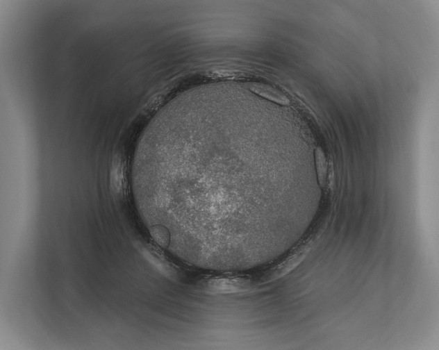 X0000112020408200908171434