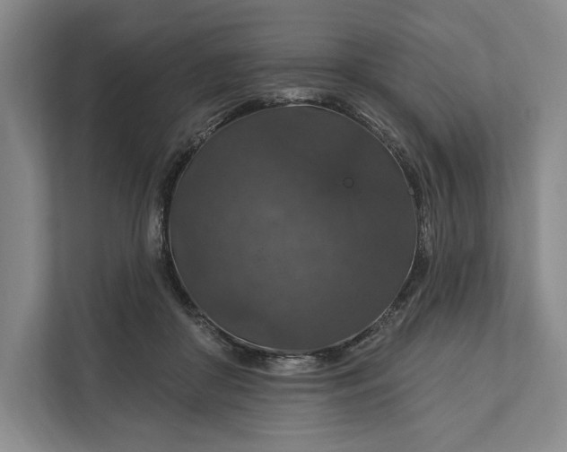 X0000112020410200908171434