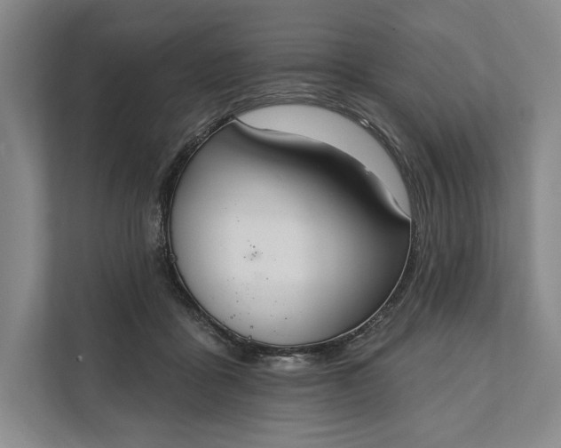 X0000112020411200908171434