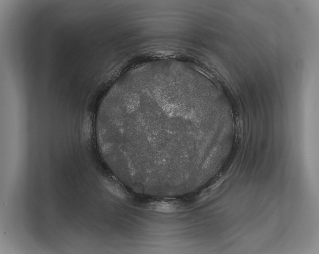 X0000112020412200908171434