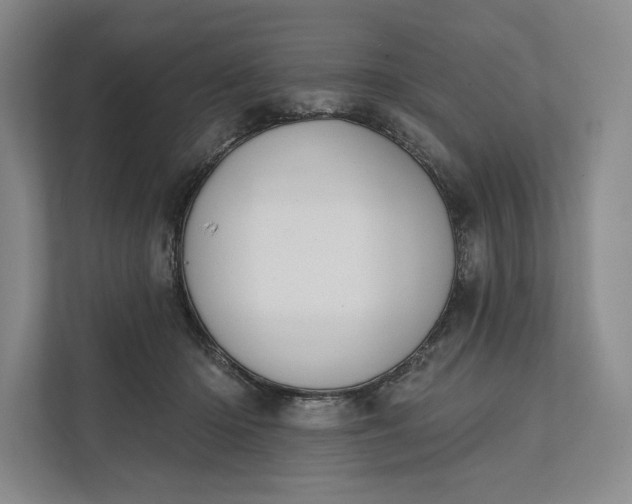 X0000112020414200908171434