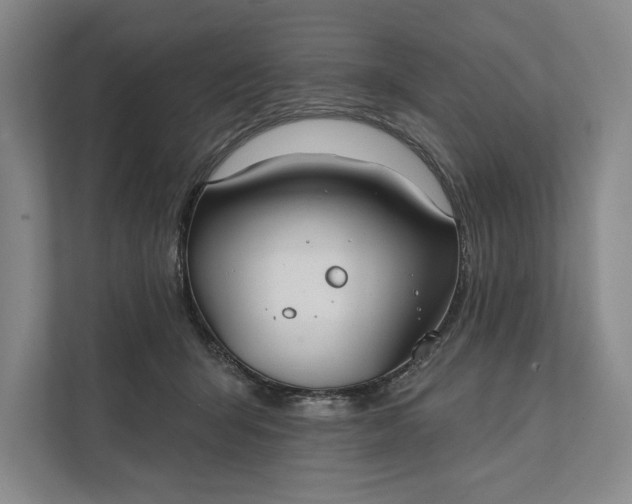 X0000112020415200908171434